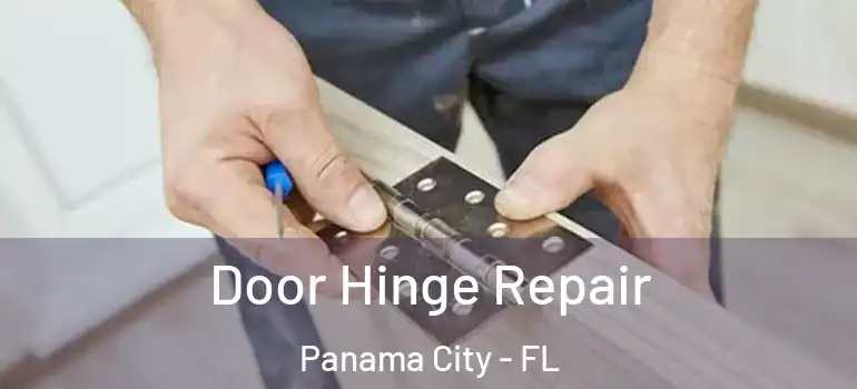  Door Hinge Repair Panama City - FL