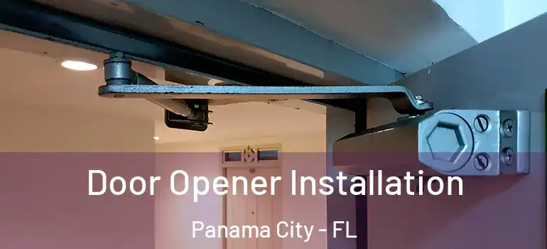  Door Opener Installation Panama City - FL