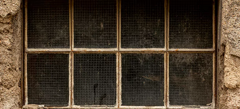 Traditional Double Front Doors in Panama City, FL