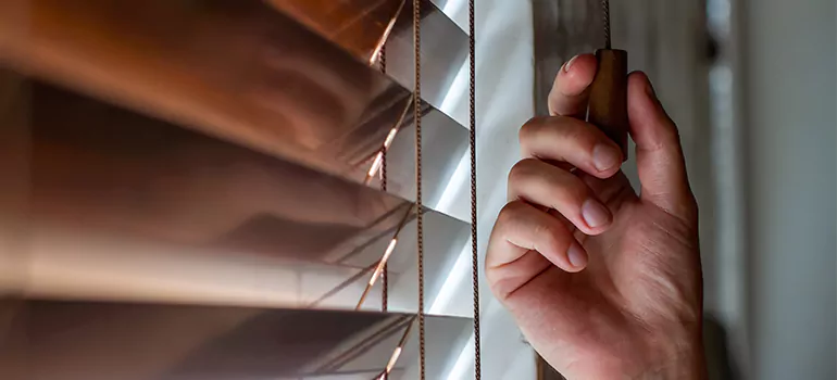 Double Roller Blinds in Panama City, FL