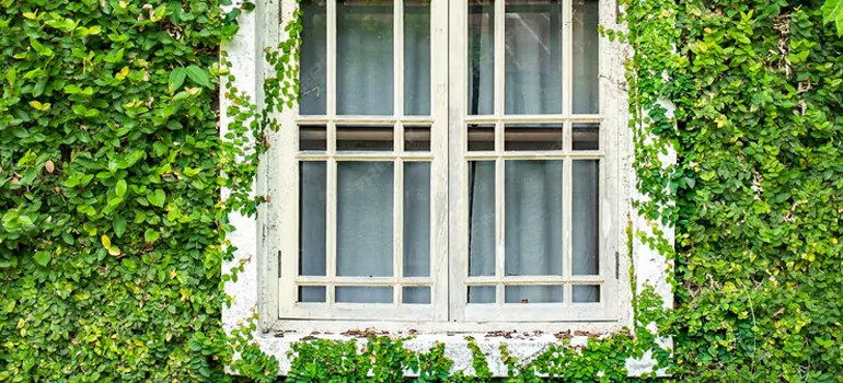 Garden Window Repair Near Me in Panama City, FL