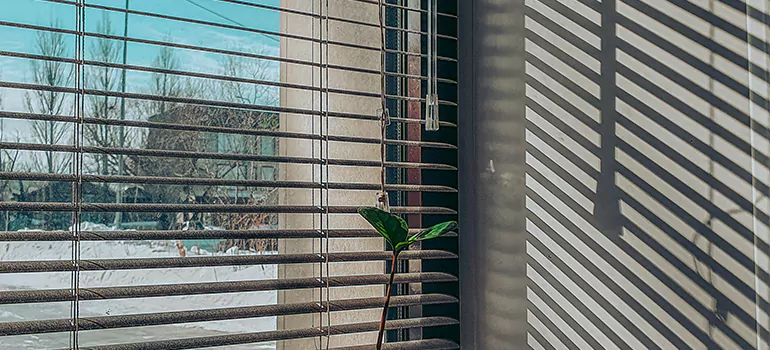 Commercial Window Blinds in Panama City, FL