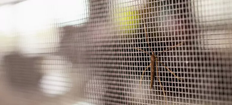 Repair Mosquito Mesh For Windows in Panama City, FL