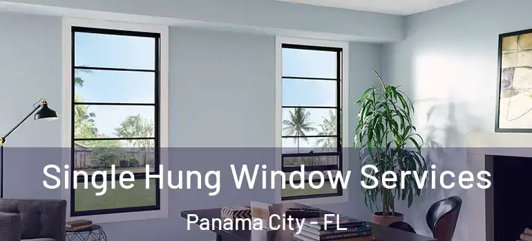  Single Hung Window Services Panama City - FL
