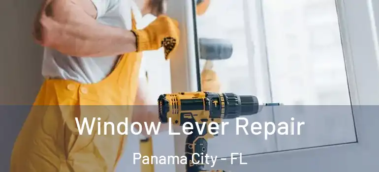  Window Lever Repair Panama City - FL