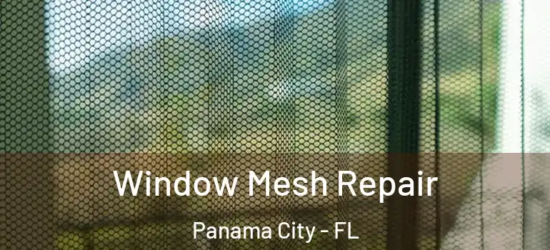  Window Mesh Repair Panama City - FL