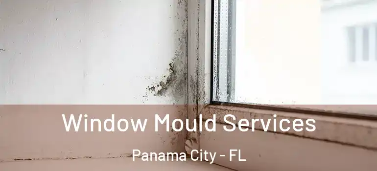  Window Mould Services Panama City - FL